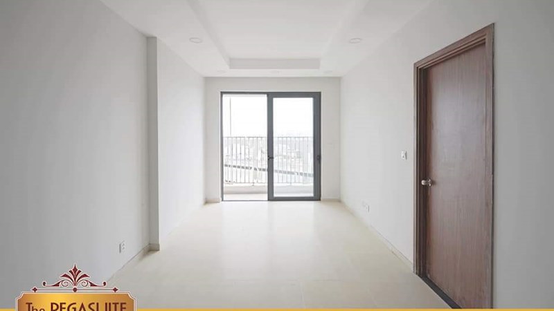 Cho thuê chung cư mới cao cấp nhất quận 8 The PegaSuite