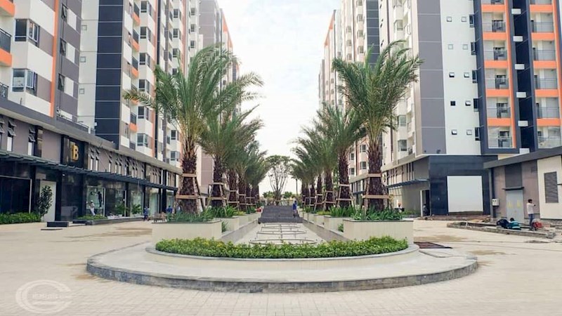 Cho thuê căn hộ Him Lam Phú An, Quận 9, Hồ Chí Minh